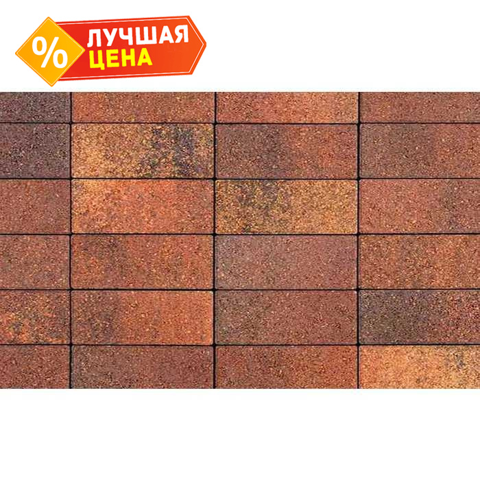 Плитка тротуарная Паркет Б.4.П.6 Листопад гранит Арабская ночь гранит180x60x60 мм