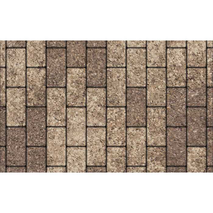 Плитка тротуарная Прямоугольник (Ла-Линия) В.2.П.10 Листопад гладкий xаски 200x100x100 мм